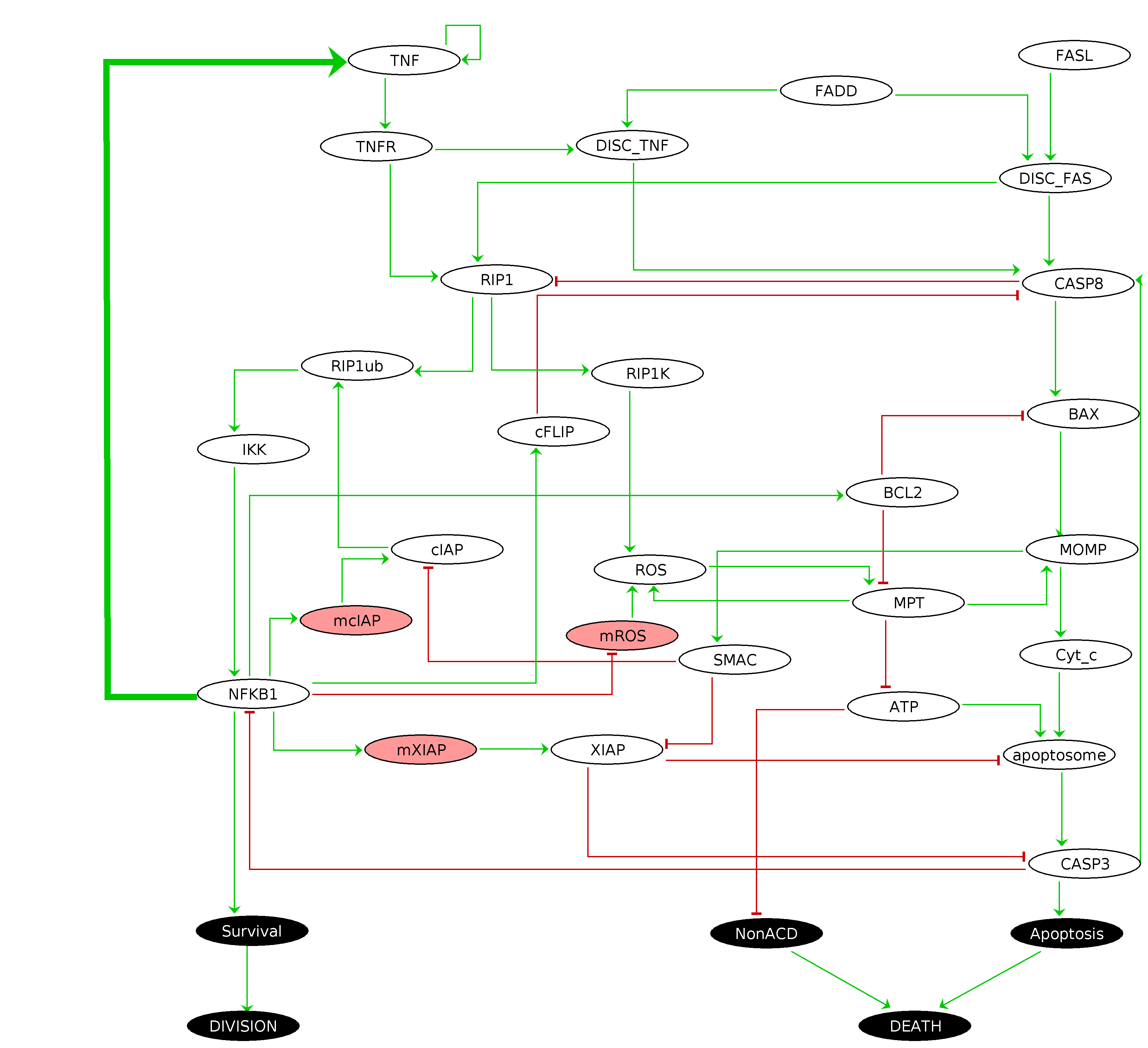 ../_images/notebooks_CellFateModel_uppmaboss_6_1.png